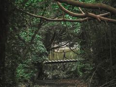 -燕晗山郊野公园