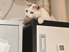 -平行世界·猫咖(首经贸店)