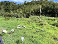 -普洱太阳河森林公园