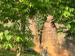 -杭州野生动物世界