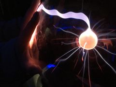 -陕西自然博物馆