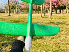 -风云岭森林公园