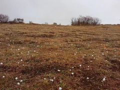 -色达喇荣五明佛学院