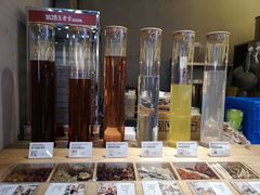 零售区-1828王老吉·草本新茶(珠江新城地铁站店)