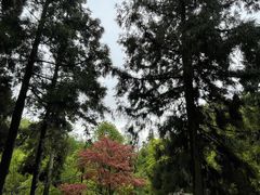-莫干山风景区