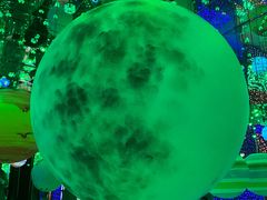 -苏州5D星空错觉艺术馆