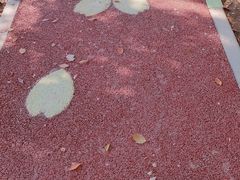 -高东镇樱花园