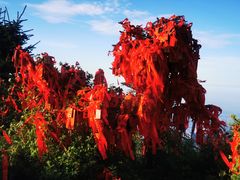 -泰山风景名胜区