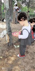 -上美四季动物农场