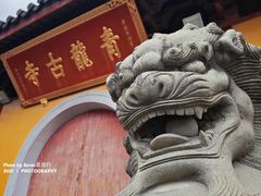 -上海青龙寺