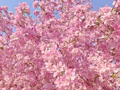 -永定河休闲森林公园