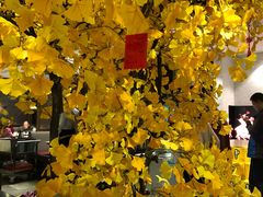 -孙毛肚火锅(春熙路店)