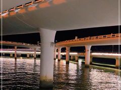 -演武大桥观景平台