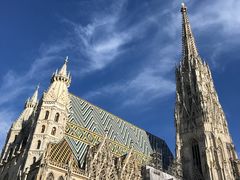 -斯蒂芬主教座堂(Stephansdom)
