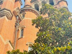 -上海佘山国家森林公园西佘山园