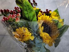 -西月城谭豆花(光华店)