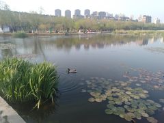 -前关湿地公园