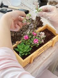 -敦南真爱月子会所(黄埔店)