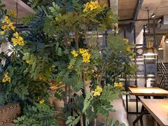 -LYFATTI 莱芙缇(赣水路店)