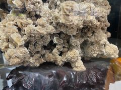 -志强陨石馆(双季花艺店)