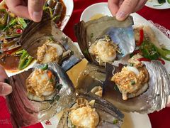带子-蛇口康乐快餐鱼仔档(翠苑小区店)