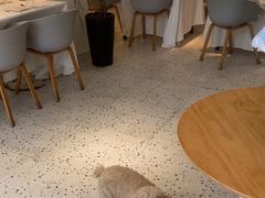 -春树下·树屋花房西餐厅(罍街AS1980店)