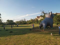 -上海崇明金茂凯悦酒店