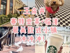 -王府井奥莱临潼小镇(临潼店)