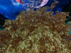 -永利澳门酒店