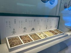 -中国湿地博物馆
