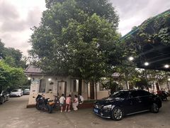-老杨砂锅鱼庄