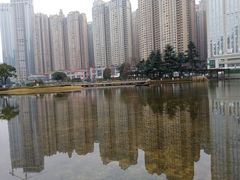 -花果园湿地公园