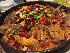 -老板恋上鱼(恒隆广场店)