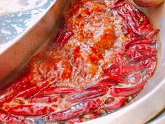 -小龙坎老火锅(北京三里屯店)