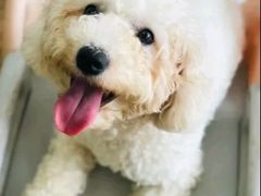 -和它·交个朋友·狗咖猫咖(爱琴海店)
