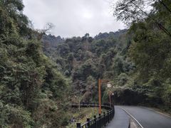 -江西阳明山国家森林公园