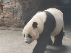 -石家庄市动物园