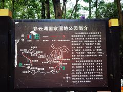 -重庆彩云湖湿地公园