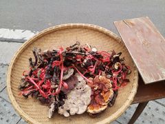 -树山生态村