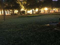 -广州中山纪念堂
