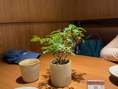 -CURRY YA 熟成咖哩專門店(深圳湾万象城店)