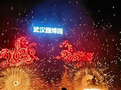 -武汉园博园(武汉自然博物馆)