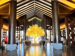 -时光吧·大堂吧·丽江和府洲际度假酒店