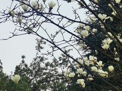 -重庆彩云湖湿地公园