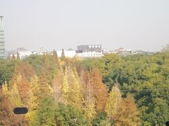 -忆咖啡观景餐厅(桂林象山公园店)