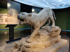 -鄂尔多斯青铜器博物馆