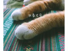 -萨芭蒂高空花园餐酒吧
