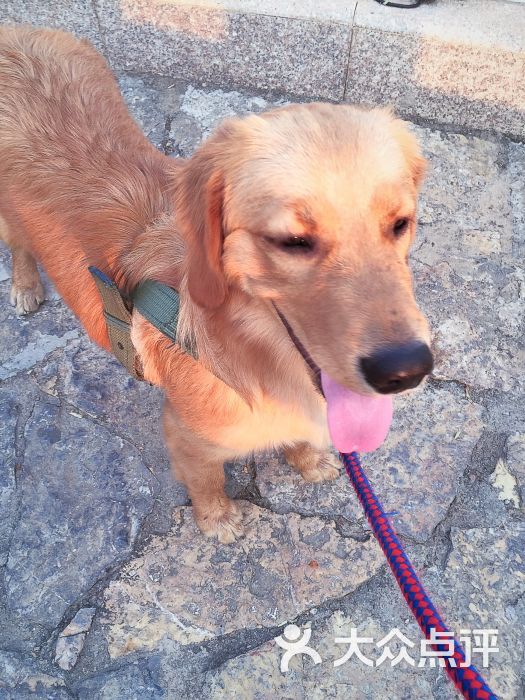 马洋洋588上传的图片