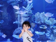 -左海海底世界