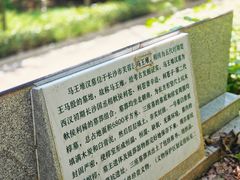 -马王堆汉墓遗址